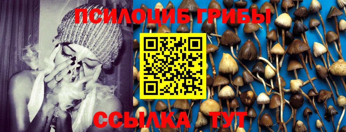 Псилоцибиновые грибы мицелий Ипатово